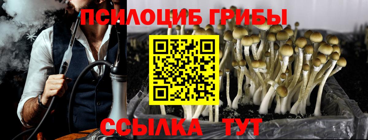 Галлюциногенные грибы прущие грибы  Вход с VPN  что такое наркотик  Галлюциногенные грибы Cubensis  Нефтекумск 