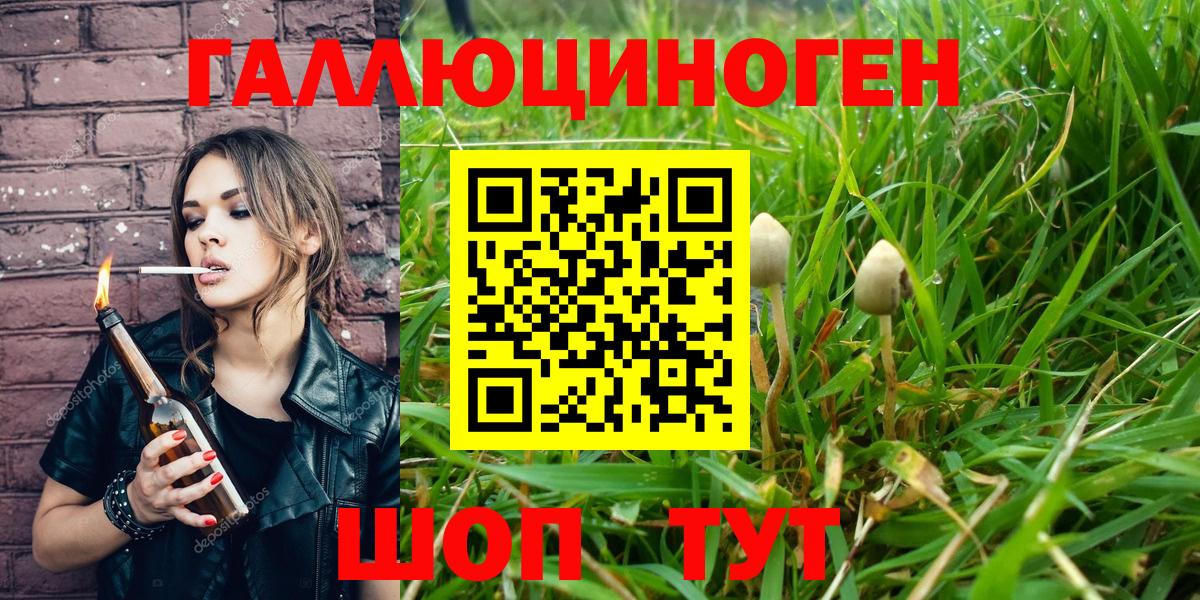 Псилоцибиновые грибы Psilocybine cubensis Нефтекумск