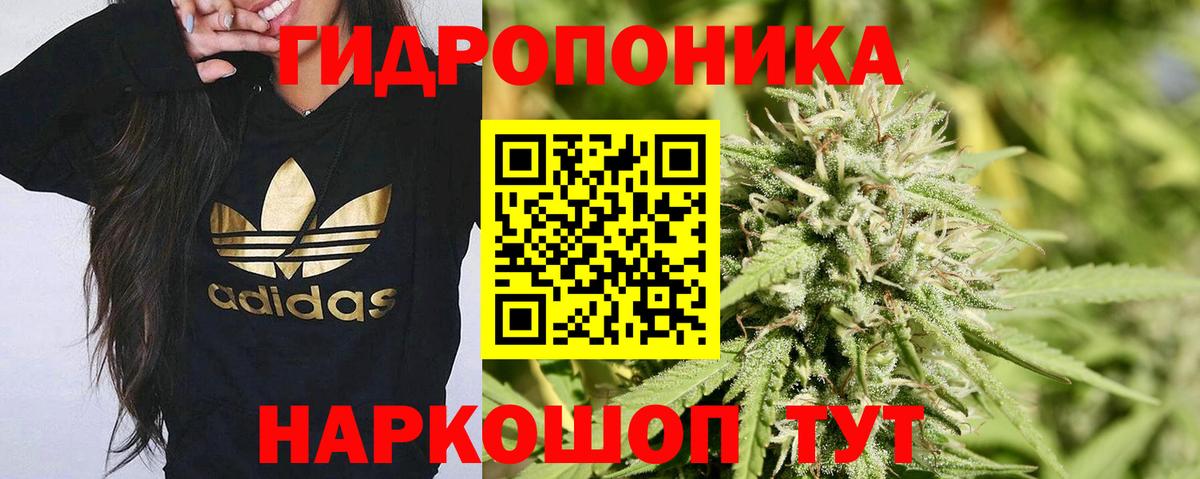 Бошки Шишки AK-47 Нефтекумск